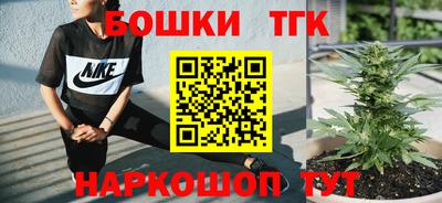 apvp Новодвинск