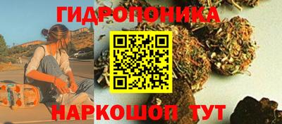 apvp Новодвинск