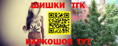 apvp Новодвинск