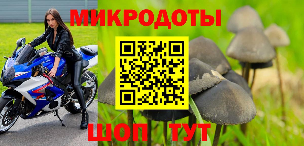 Псилоцибиновые грибы прущие грибы Соликамск