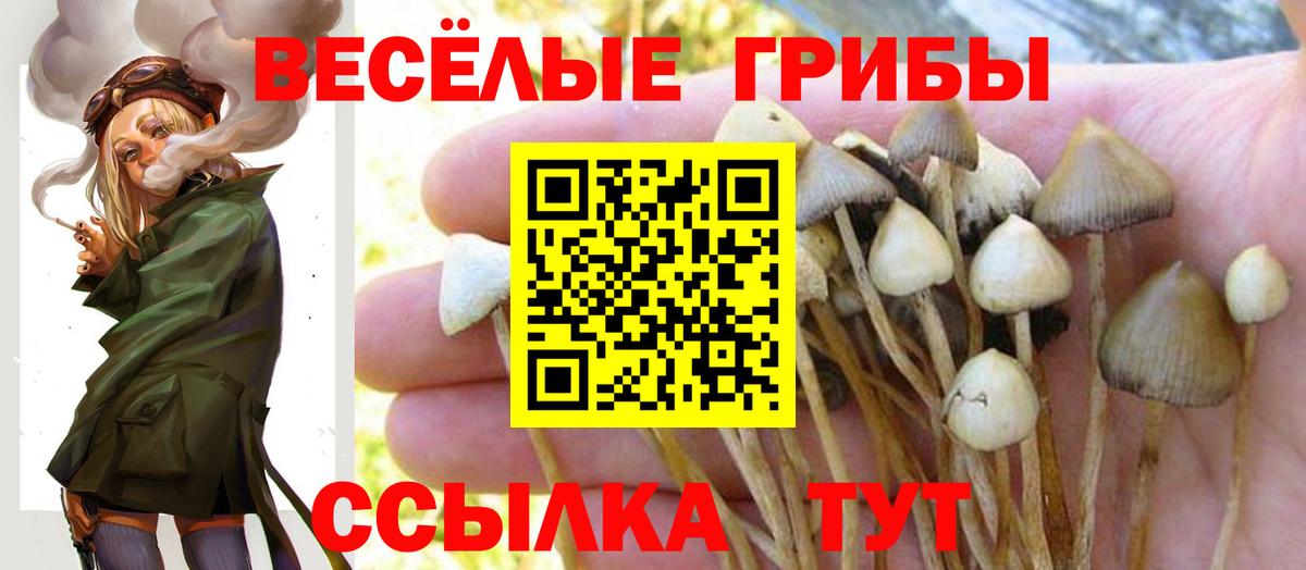 Псилоцибиновые грибы мухоморы  Вход с VPN  Галлюциногенные грибы GOLDEN TEACHER  Соликамск 